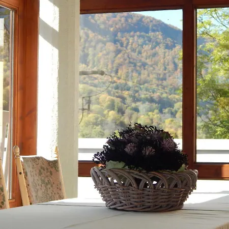 Free - Bei Den Thermen * Бад-Урах