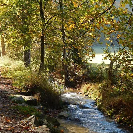 Free - Bei Den Thermen