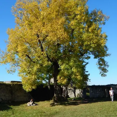Free - Bei Den Thermen