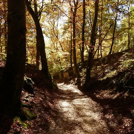 Apartamento Free - Bei Den Thermen Bad Urach