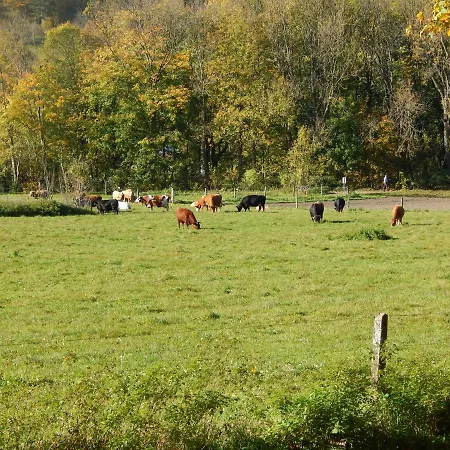 Free - Bei Den Thermen