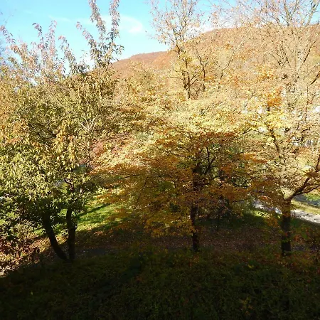 Free - Bei Den Thermen Apartment Bad Urach