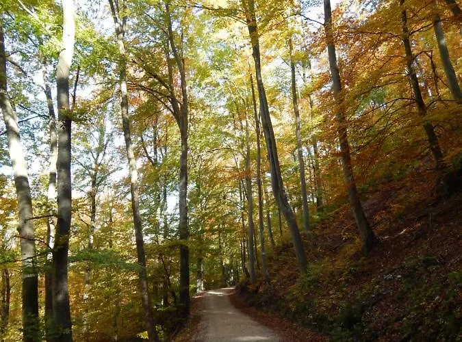 Apartament Free - Bei Den Thermen *