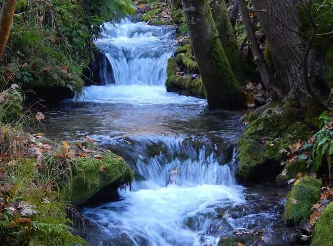 Apartament Free - Bei Den Thermen *